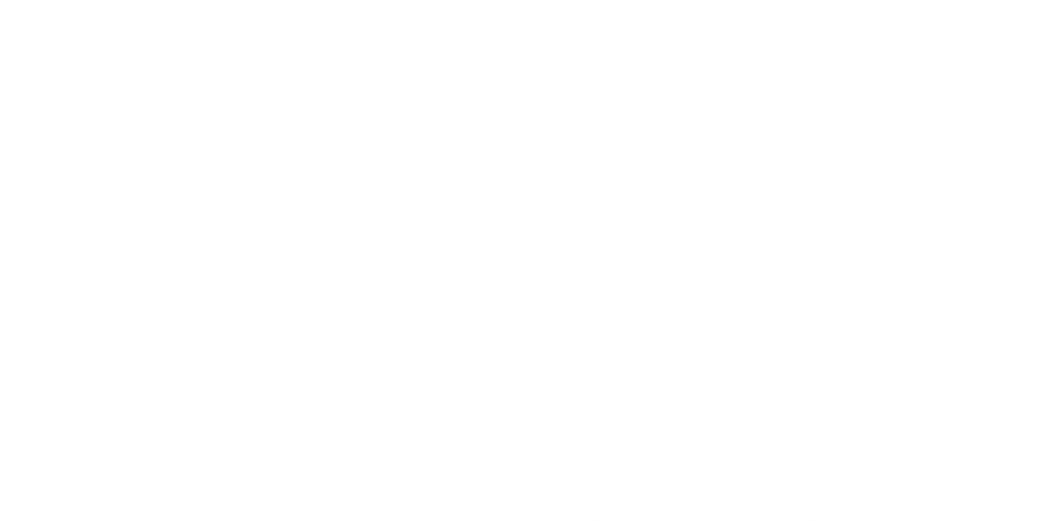 arena-vision-Logo-White-1536x753